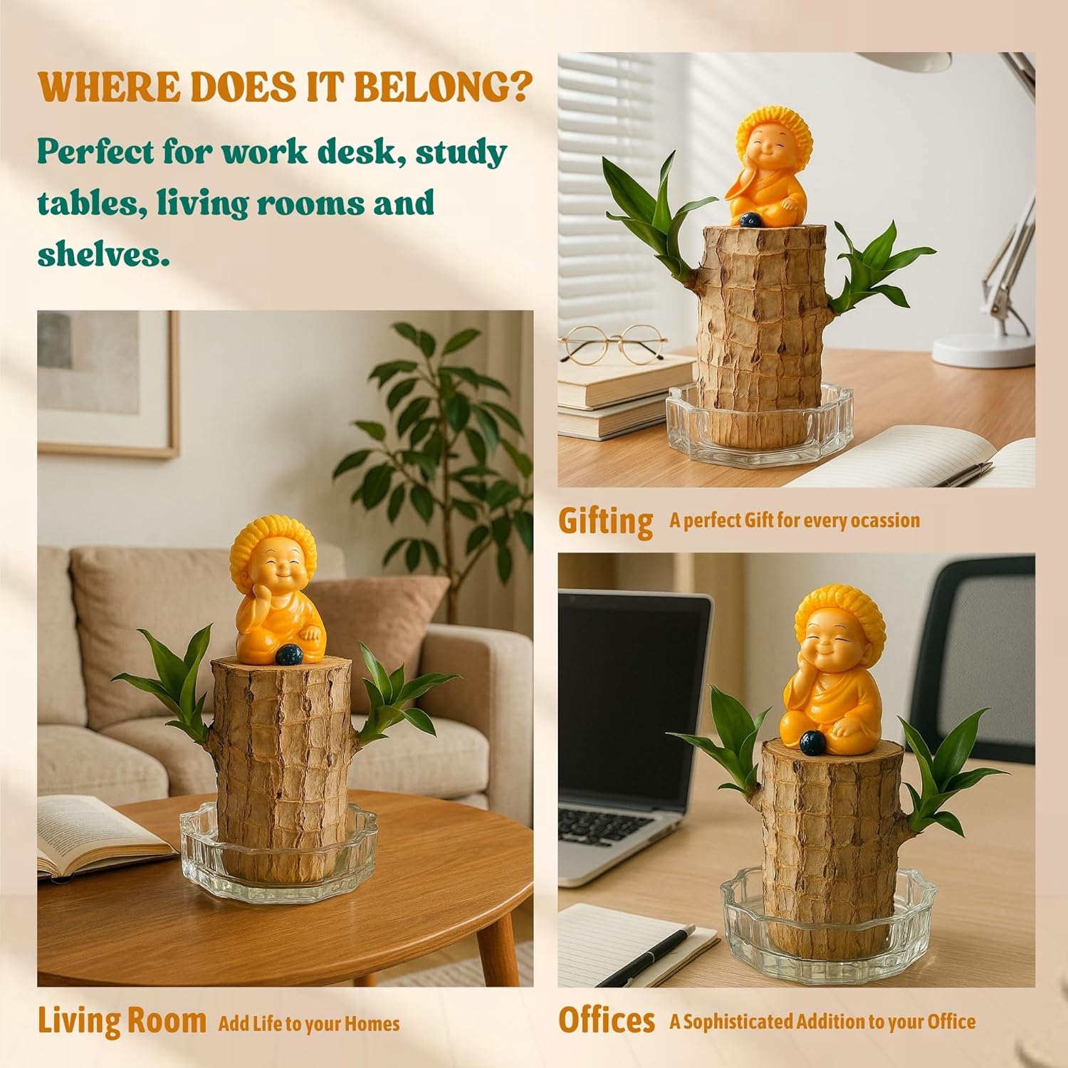 Brazilian Lucky Wood, Mini Home Plant Decorations